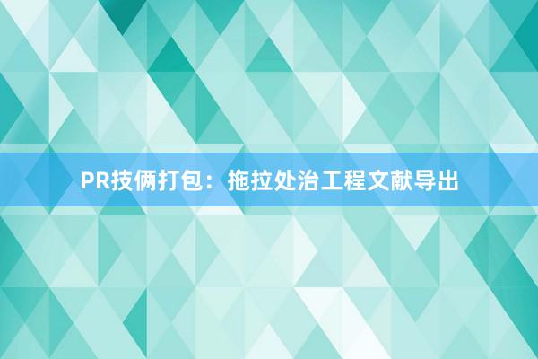 PR技俩打包：拖拉处治工程文献导出