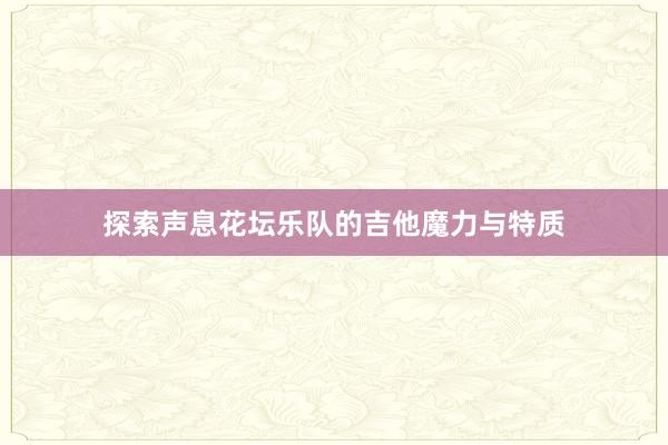 探索声息花坛乐队的吉他魔力与特质